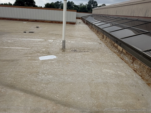 TPO roof surface showing moisture and blistering.